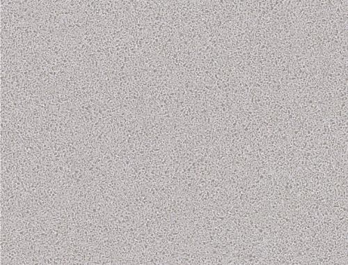 Gris Ceniza